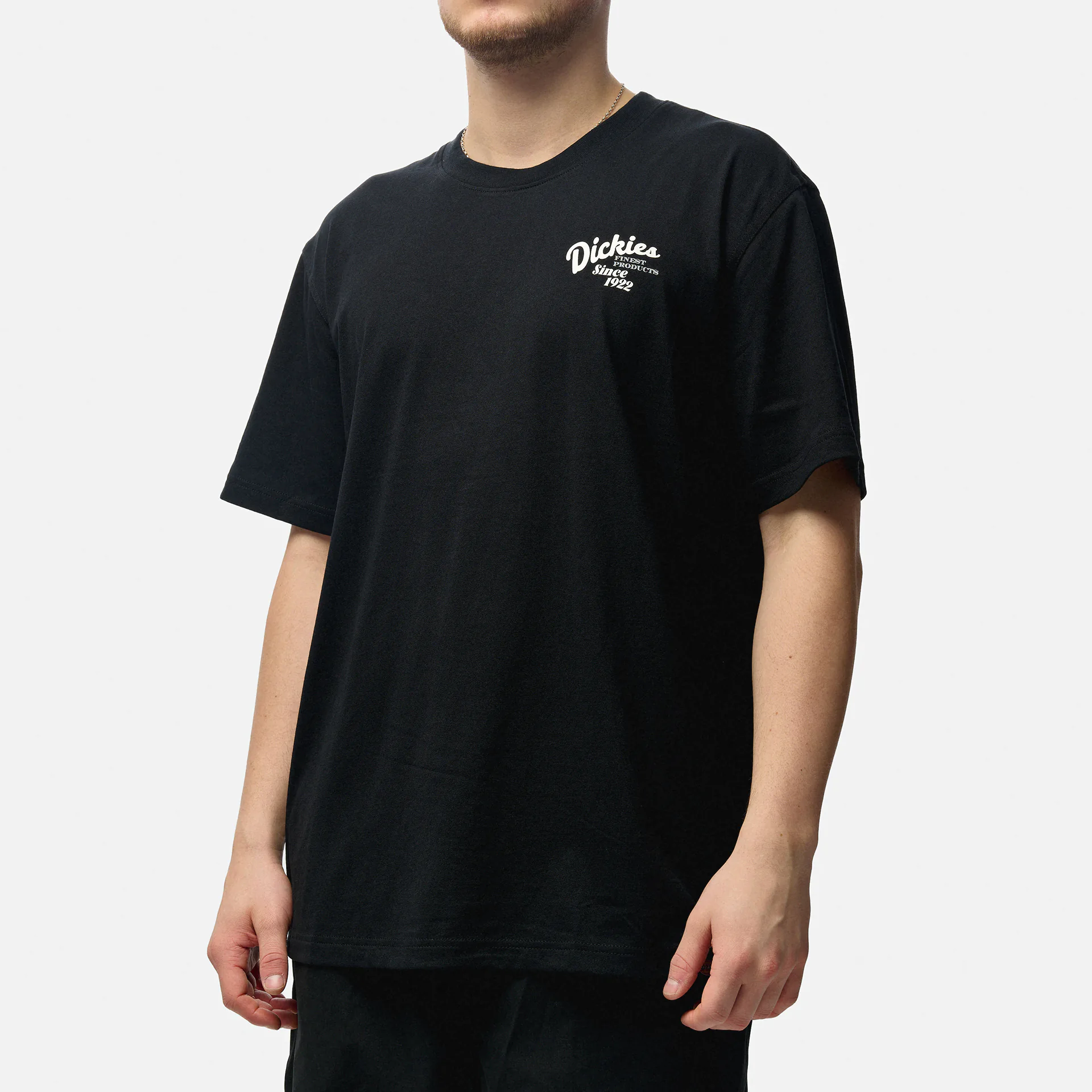 Dickies Raven T-Shirt Black